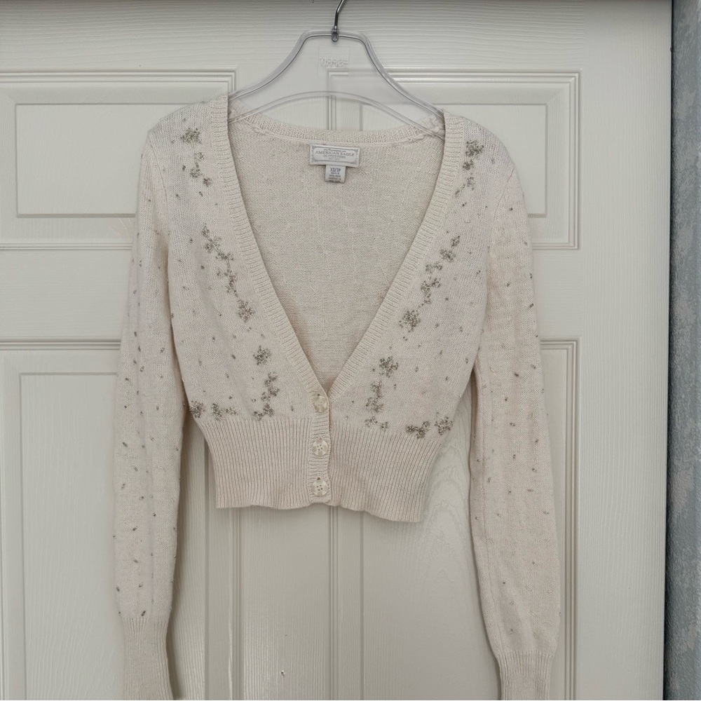 American Eagle cardigan